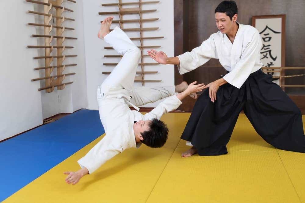 Action Aikido. In sports hall
